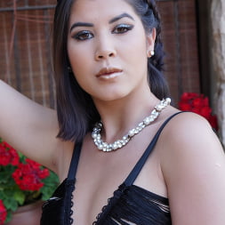 Lady Dee Sex Addict